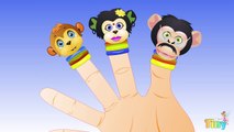 Finger Family Monkeys | Daddy Finger Nursery Rhymes