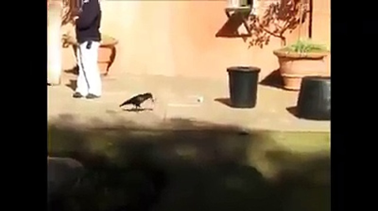 Amezing birf