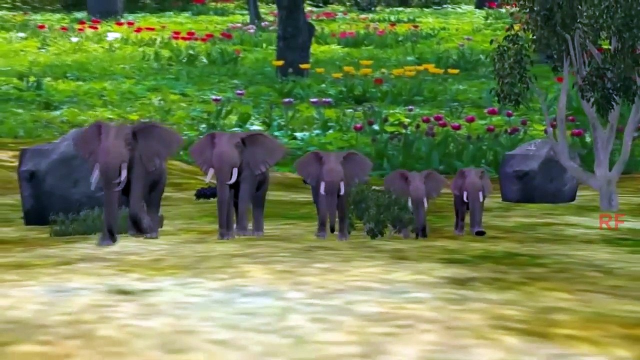 Forest Animals Finger Family Rhymes For Children | Funny Kids 3D Animation Songs |