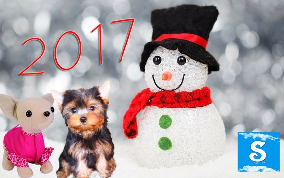 Подарки Деда Мороза Железная дорога и Собачка Чи чи Лав | Railway Sets and Chi Chi Love from Santa