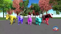 Animals finger family - fat hulk finger family - dinosaur finger family songs Rhymes 3d animation