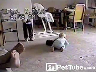 Gato tenta atacar bebê, porém, continue assistindo até o fim...esta é a coisa MAIS FOFA de todos os tempos!