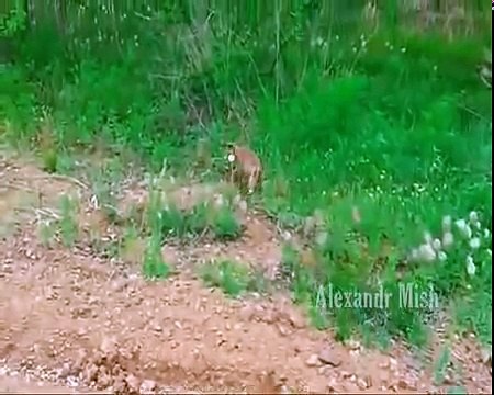 Люди приходят на помощь