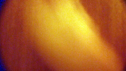 Forensic ALS application:  no filter-powder-fingerprints on wood door