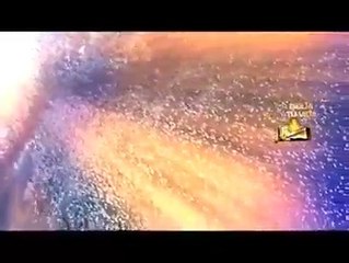 Alerta El Rey ya viene a buscar su pueblo