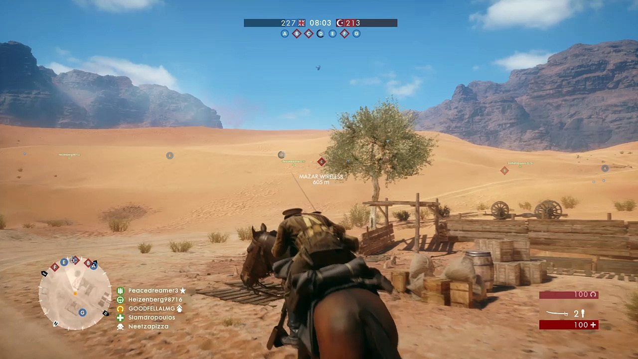 HorsevsTank