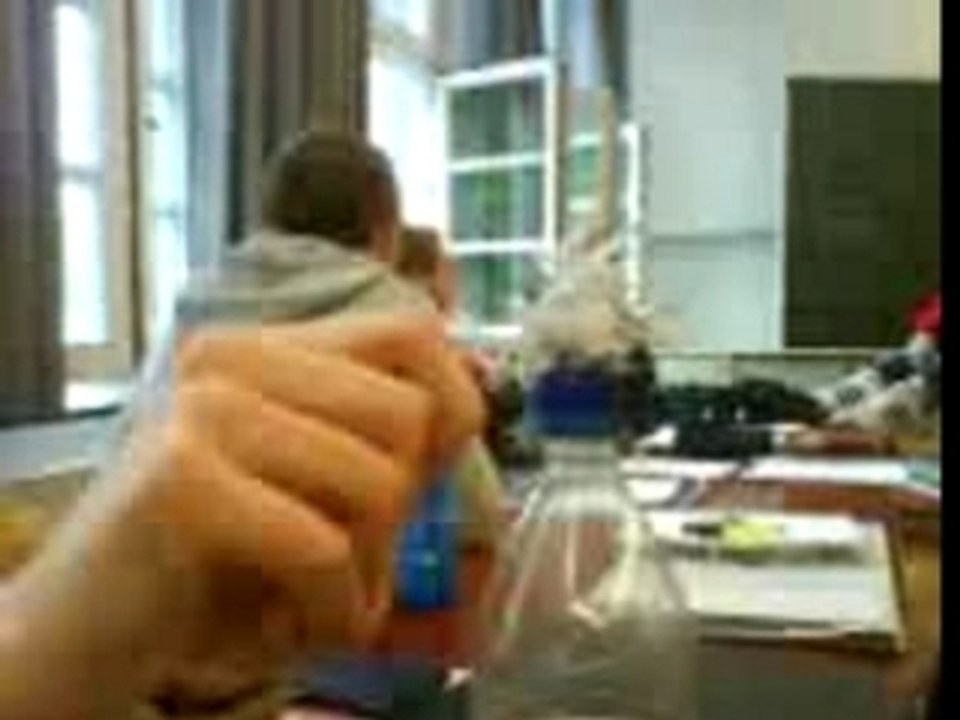 Schwachsinnsvideo