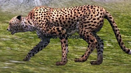 Learning Animals Sounds And Names For Children Kids And Babies   Wild Life   Nursery Rhymes
