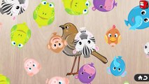 Animals Puzzle for Kids - Learn Animals Names and Sounds - Learn English. Learning Video for Kids