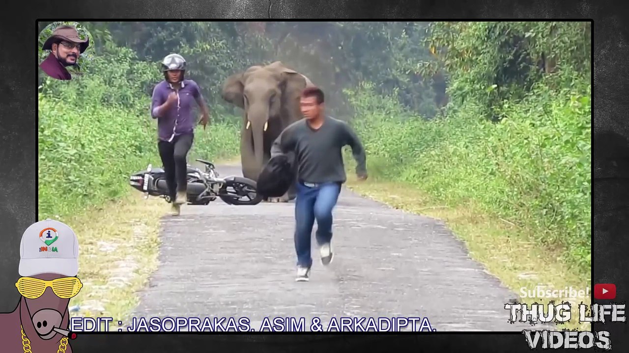 Ultimate Thug Life Compilation #38 India Special