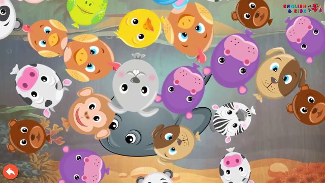 Kids Learning Sea Animals & Water Animals Sea Animals Puzzle Fun Play for Kids