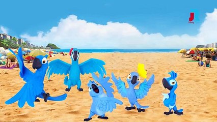 Rio 2 Cartoon Finger Family Rhyme | Nursery Rhymes For Children