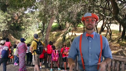 Colors Song, Nursery Rhymes, Learn to Count for Toddlers– Tractor Backhoe Collection for kids–1 Hour