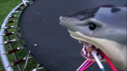 Sharks vs Bottle Rockets 'Toy Shark Lighting Fireworks'-3N1wzV75vhI