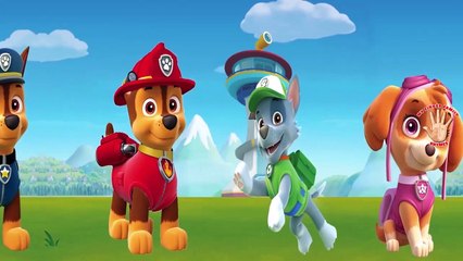PAW PATROL Finger Family Cartoons | MY FINGER FAMILY RHYMES