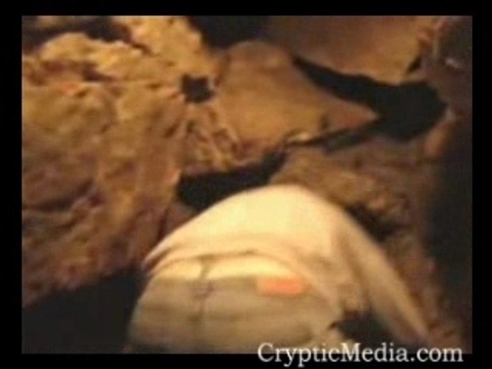 Mystery Of St. Rosalias Apparition