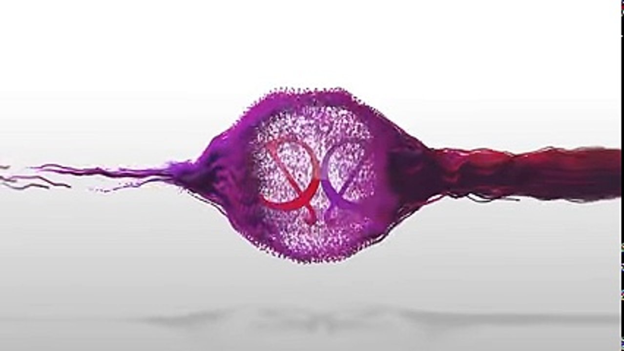 Yeh Rishta Kya Kehlata Hai Naira To Save Karthik's Brother 2nd January 2017