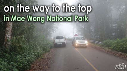 Mae Wong National Park, on the way to the top