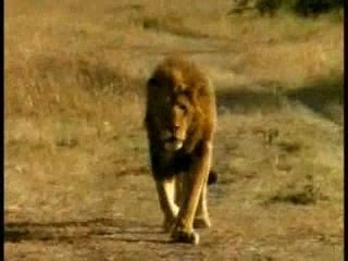 PUB 13 eme RUE-LE CHAINE ACTION ET SUSPENSE AOUT 2007