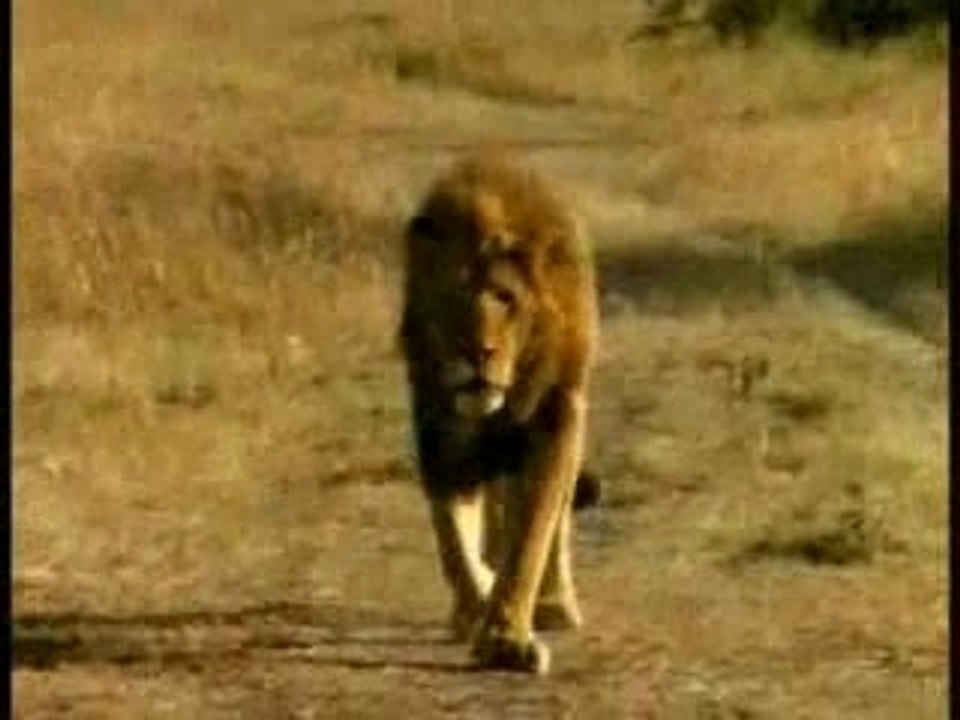 PUB 13 eme RUE-LE CHAINE ACTION ET SUSPENSE AOUT 2007