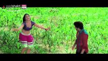 Ghir Gail Odani Ganna Ke Khet Mein _ Pawan Singh, Kajal Raghwani _ Hot Bhojpuri