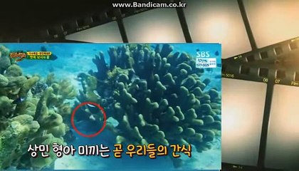 [solution]통합프로그램제작,밸런스제작,스포츠에관한 모든것