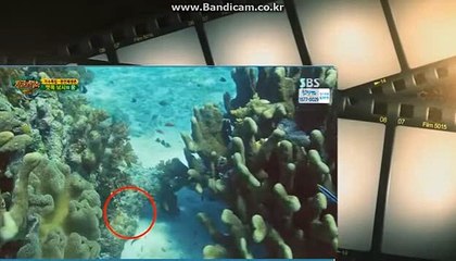 [CODSOFTtotosolution]17년경력프로그래머 24시간직원항시대기 스포츠toto솔루션