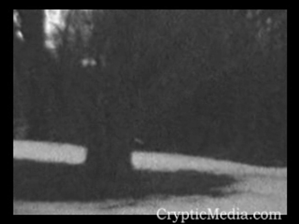 Paranormal Encounter