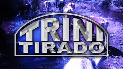 una raya mas al tigre (Chapo Guzman) - Trini Tirado