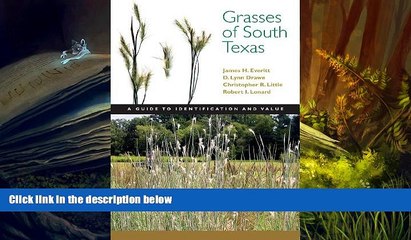 Read  Grasses of South Texas: A Guide to Identification and Value (Grover E. Murray Studies in the