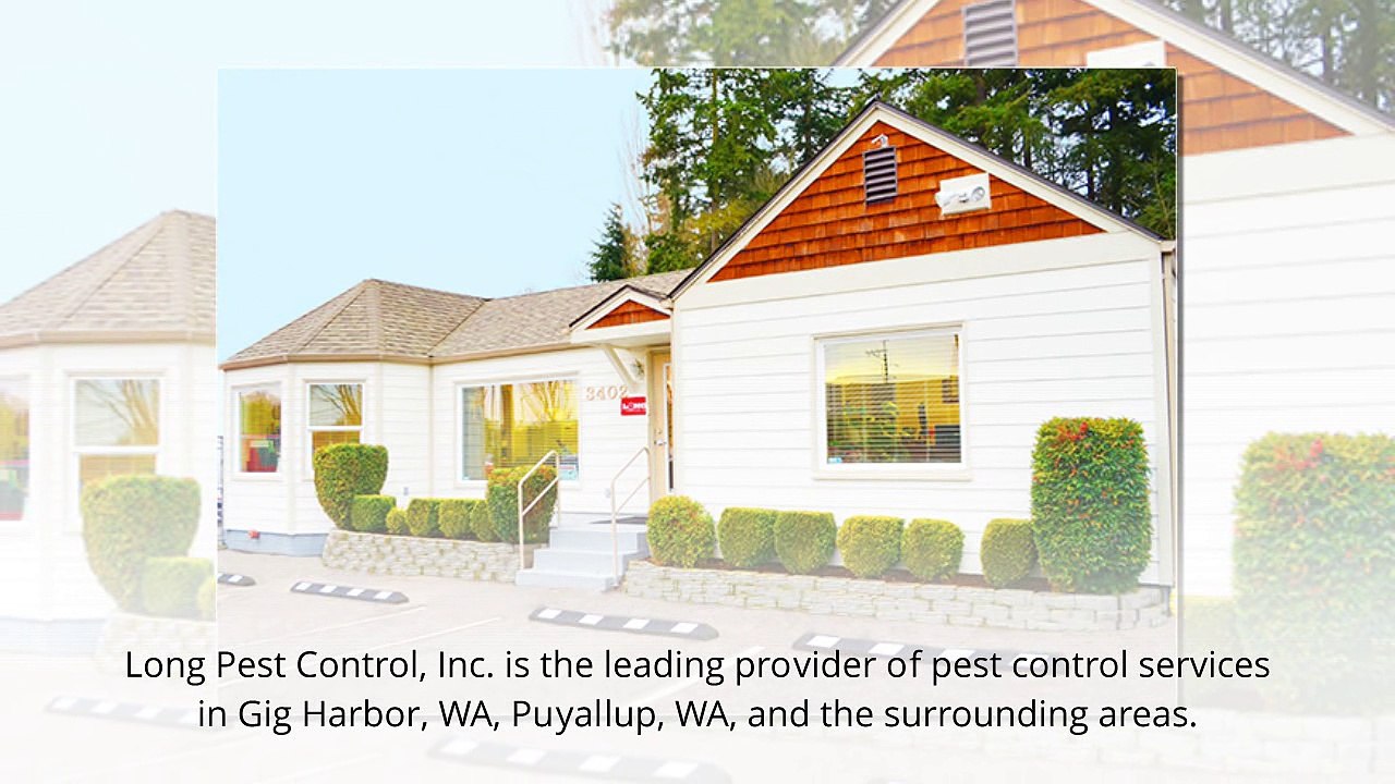 Pest Control Company in Gig Harbor, Tacoma & Puyallup WA