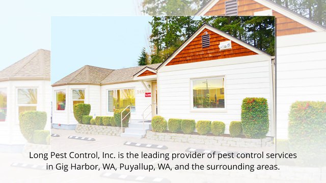 Pest Control Company in Gig Harbor, Tacoma & Puyallup WA