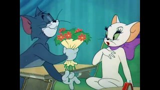 Tom and Jerry - Episode 55 - Casanova Cat (1951)