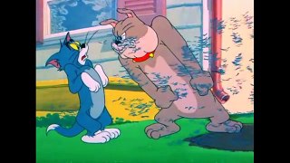 Tom and Jerry - Episode 60 - Slicked-up Pup (1951)