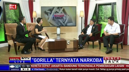 Lunch Talk: “Gorilla” Ternyata Narkoba #3