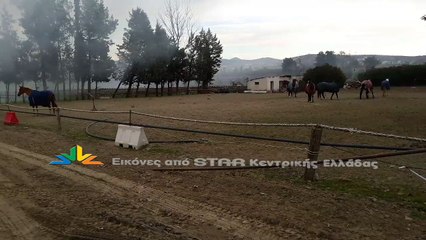 Φωτιά στον ιππικό όμιλο Λαμίας