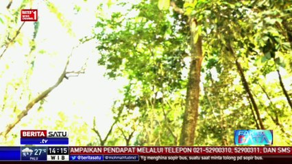 Fakta Data: Ruang Terbuka Hijau