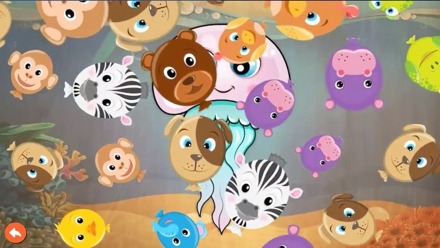 Kids Learn Sea Animals & Water Animals with Puzzles and Real Clips - Android Gameplay Video