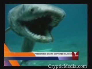 Prehistoric Frill Shark