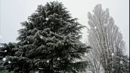 Du givre au Clos de la Vigne