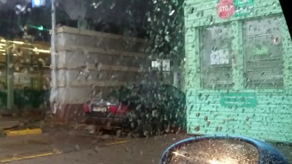 Ворона украла паспорт на русско-эстонской границе