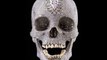 The most expensive human skull inlaid with the most expensive types of diamonds