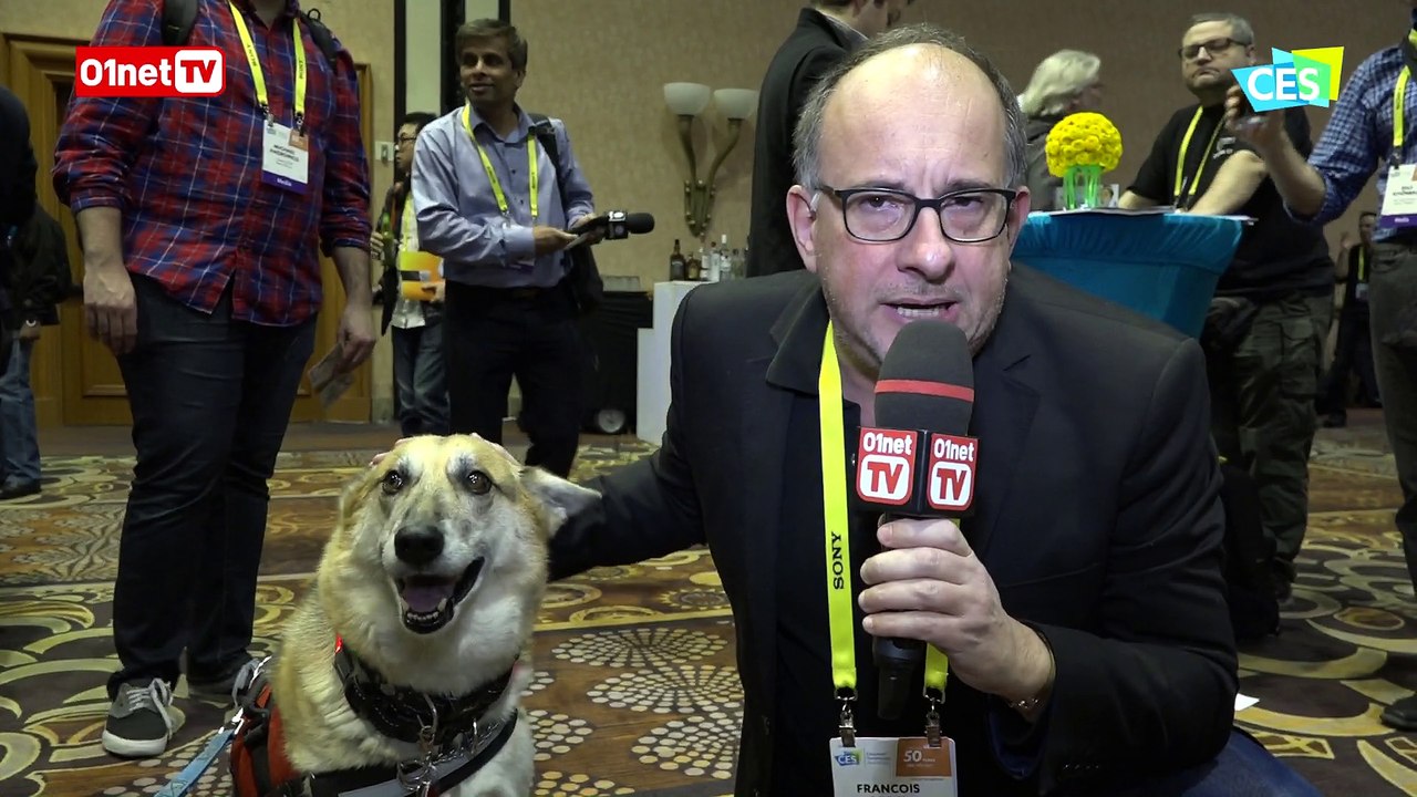 Jagger & Lewis : les chiens aussi sont désormais connectés - CES 2017