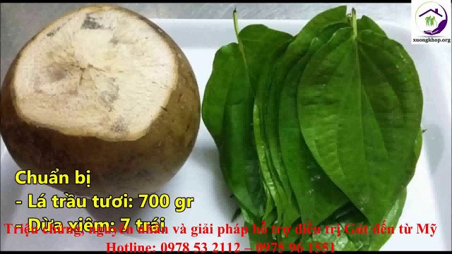 Bài thuốc dân gian chữa bệnh Gút hiệu quả từ lá trầu không và nước dừa