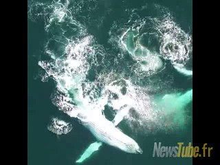 Top Video de 2016 beauté de la nature