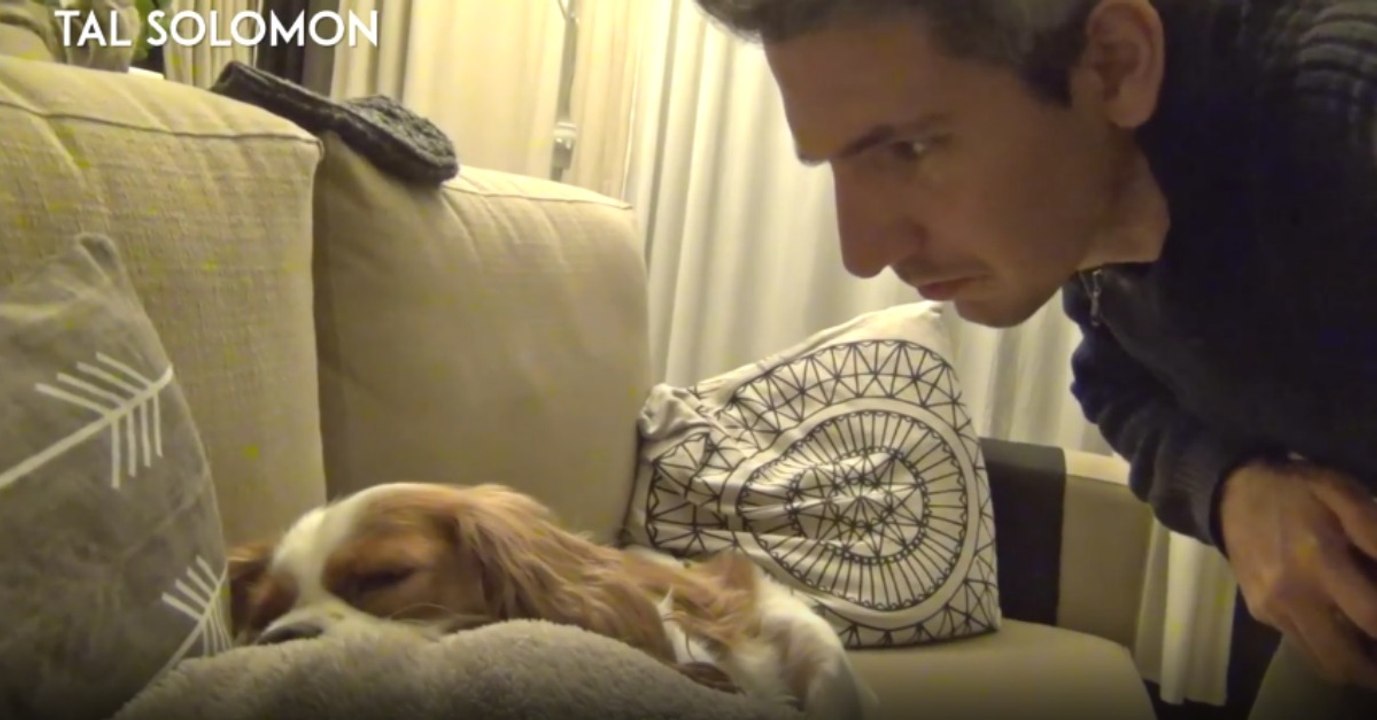 Dono vinga-se do seu cão por este ressonar "como um javali" enquanto dorme