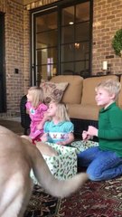Kids have heartwarming response to new puppy surprise