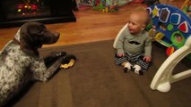 Dog barks on command, sends baby into giggle fit