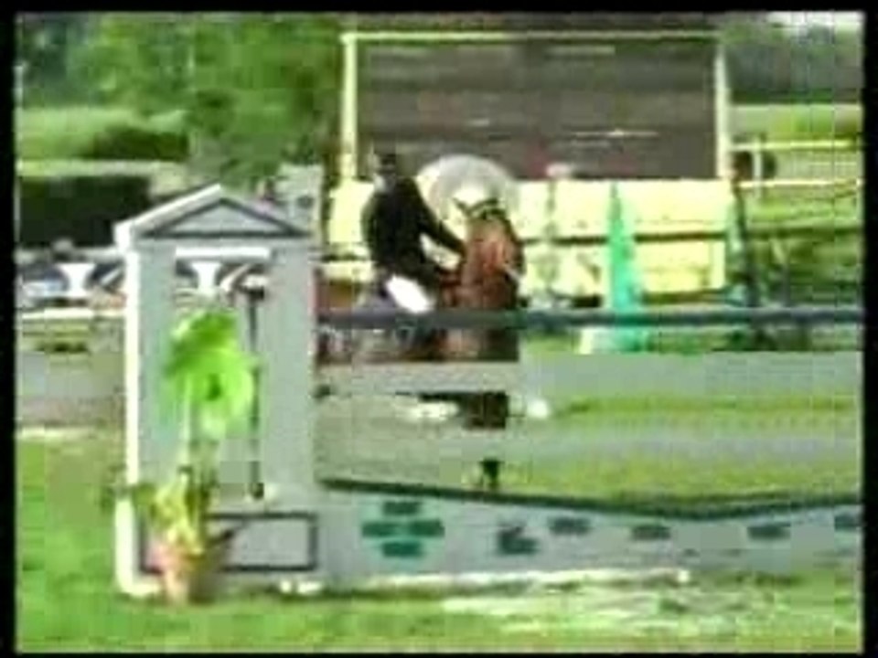 Jumper lanleya