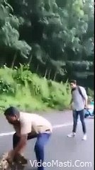 Azagar Ne 2 Bakriyo Ko Nigal Liya - Shocking(videomasti.com)